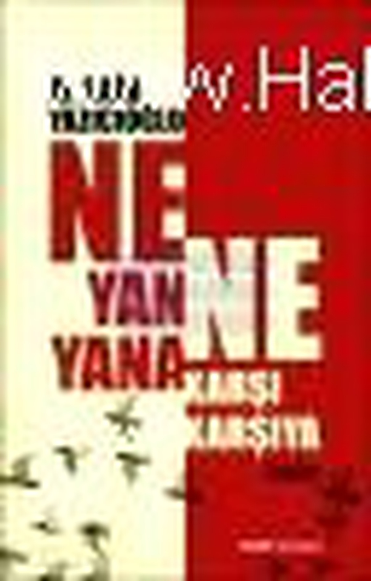 Ne Yan Yana Ne Karşı Karşıya Kitabı