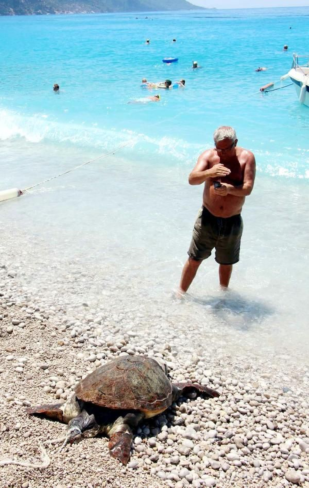 Ölü Caretta ile Fotoğraf Kuyruğu