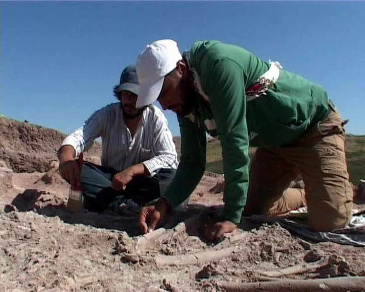 Siirt\'te Tarihi Eserleri Kurtarma Kazıları Devam Ediyor