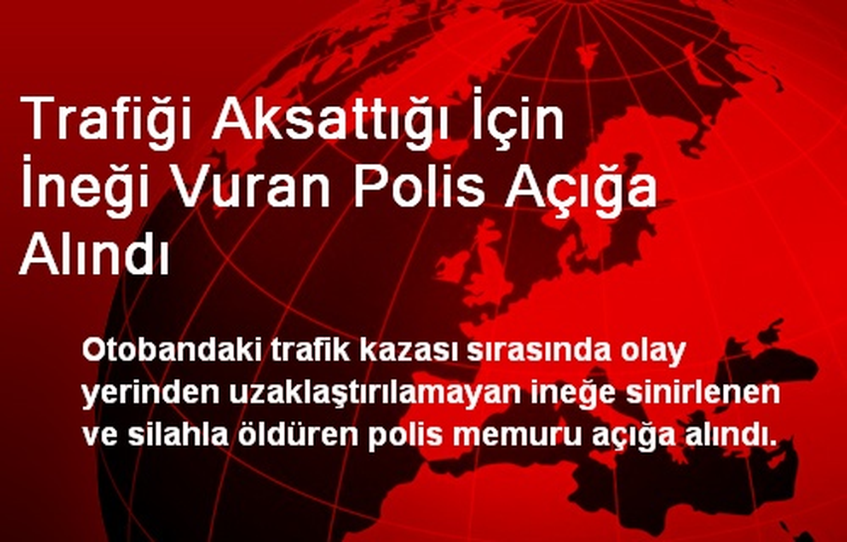 Trafiği Aksattığı İçin İneği Vuran Polis Açığa Alındı