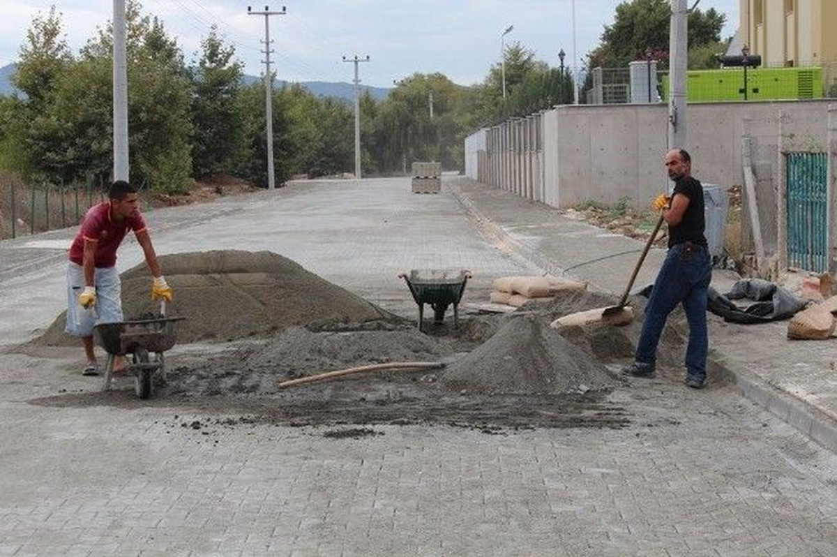 Yalova\'dan Kısa Kısa