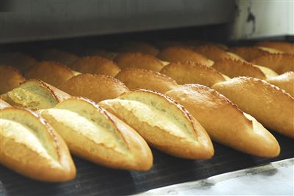 Aydınlılardan "Halk Ekmek"E İlgi