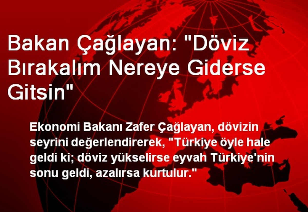 Bakan Çağlayan: "Döviz Bırakalım Nereye Giderse Gitsin"