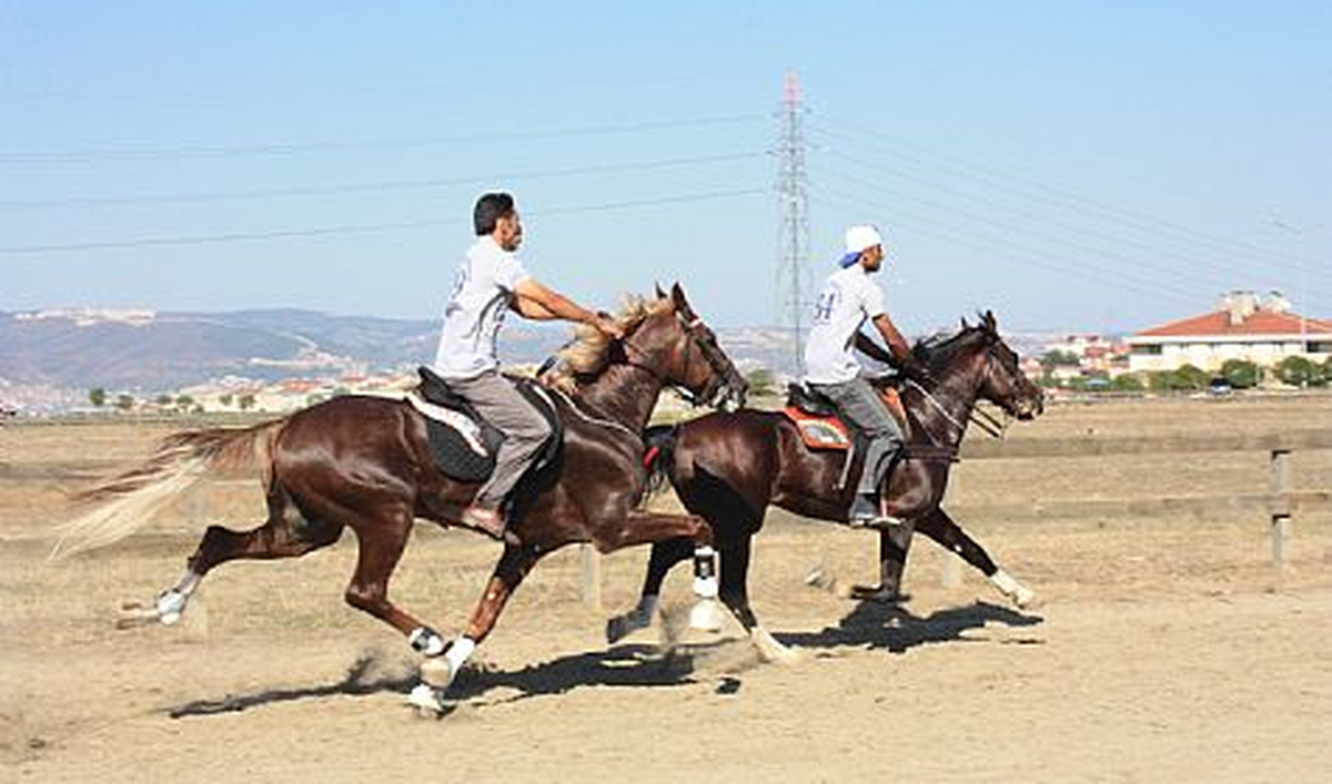 Gölcük\'te Rahvan At Yarışları İhsaniye Koşusu Yapılacak