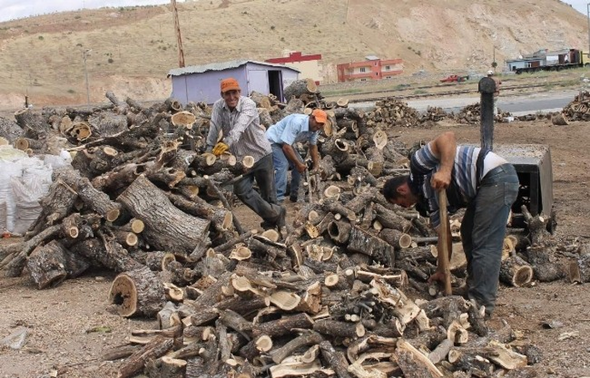 Odun Fiyatlarında Düşüş