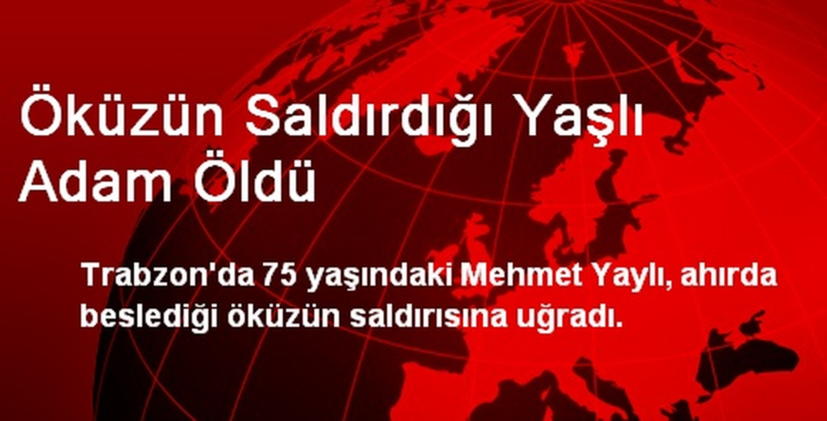 Öküzün Saldırdığı Yaşlı Adam Öldü