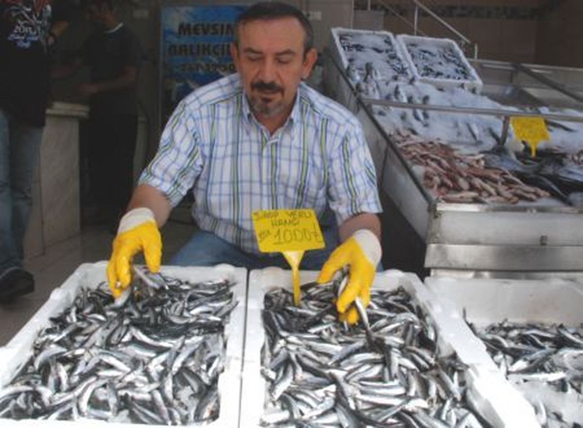 Sinop\'ta Hamsi Tezgahlardaki Yerini Aldı