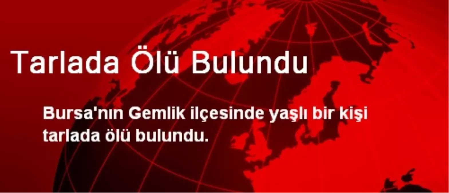 Tarlada Ölü Bulundu