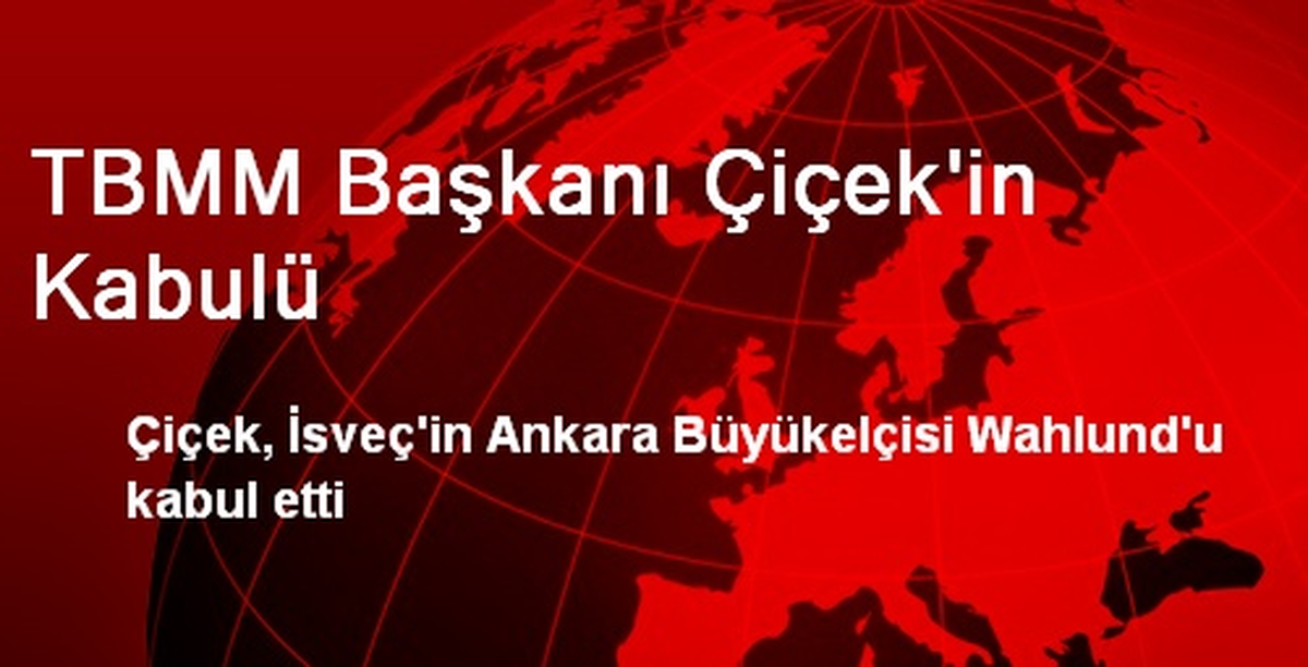 TBMM Başkanı Çiçek\'in Kabulü