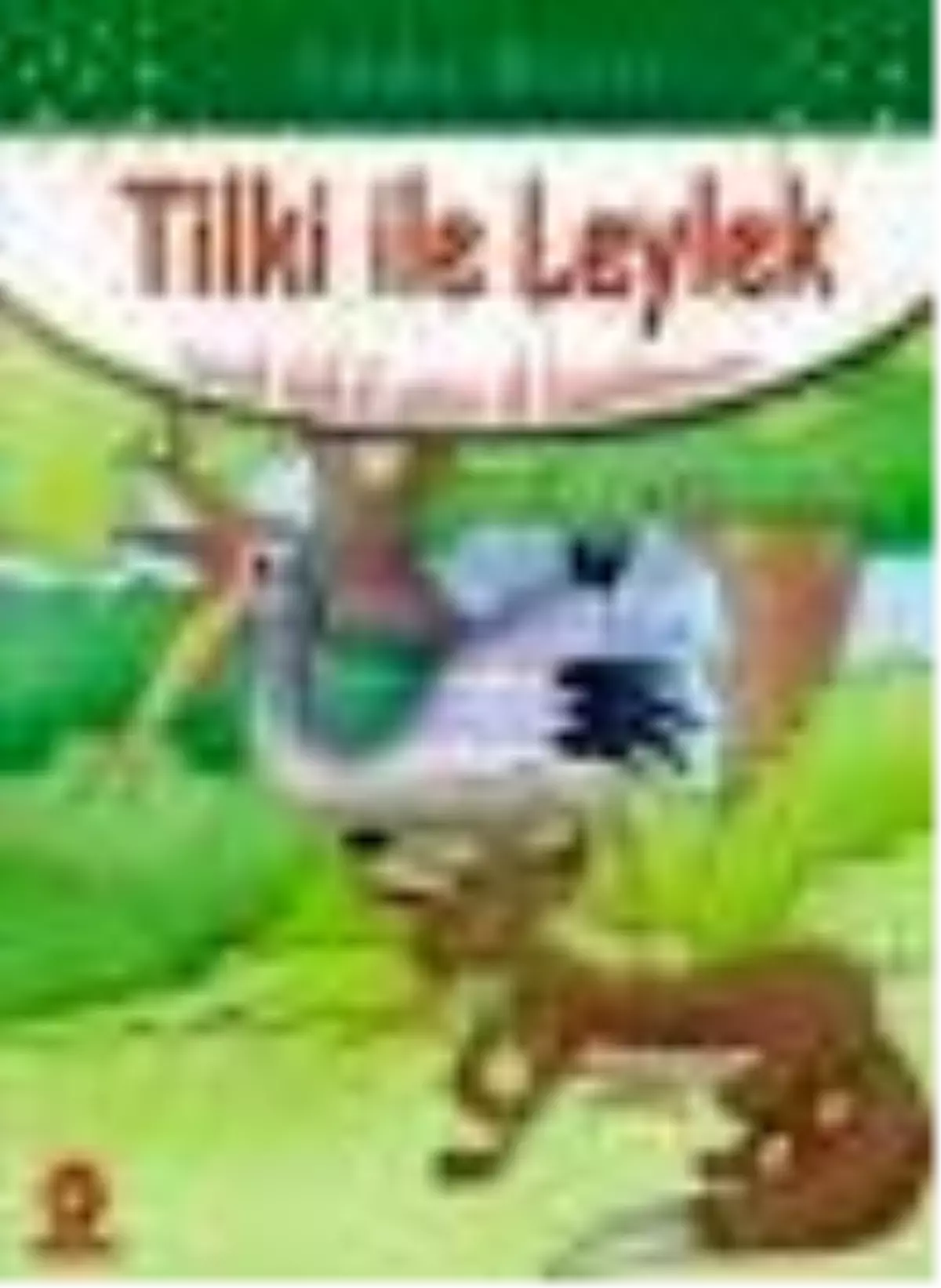 Tilki ile Leylek Kitabı