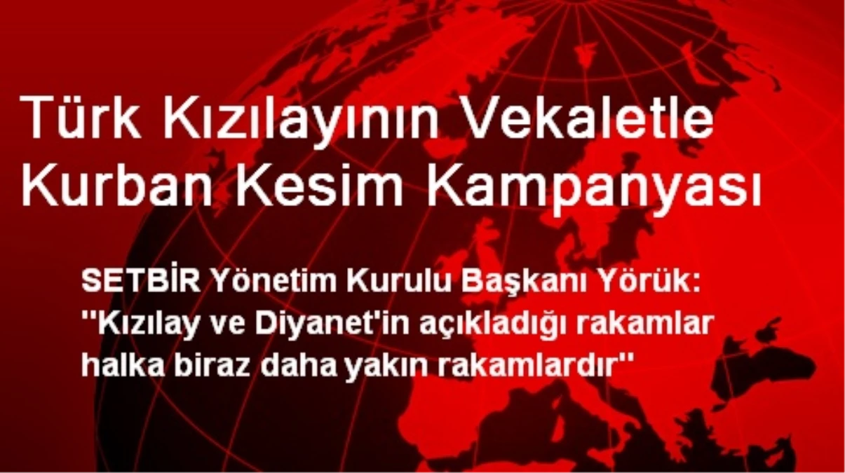 Türk Kızılayının Vekaletle Kurban Kesim Kampanyası
