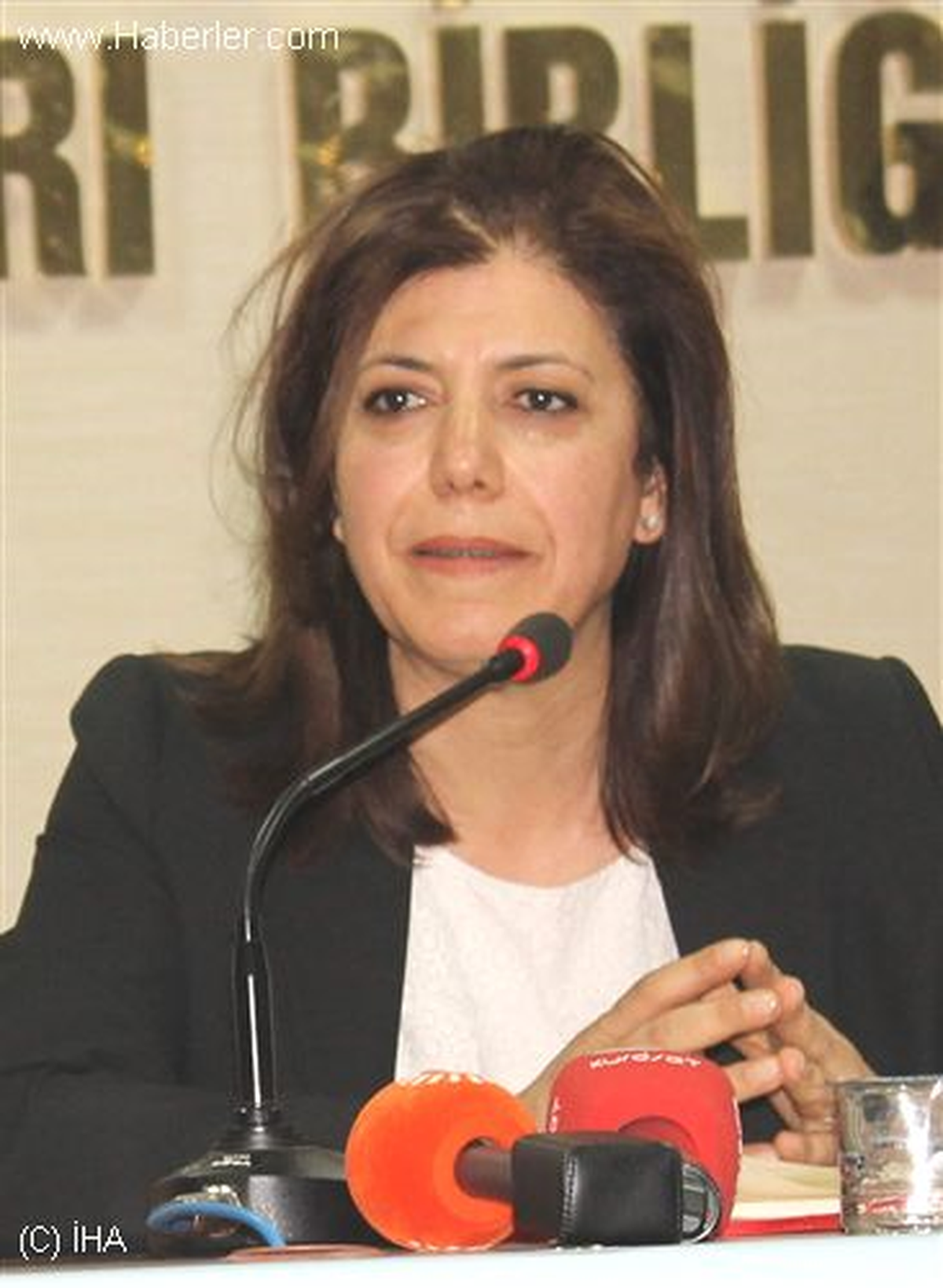 BDP\'li Beştaş: Anayasa Çalışmaları Kötü Gidiyor