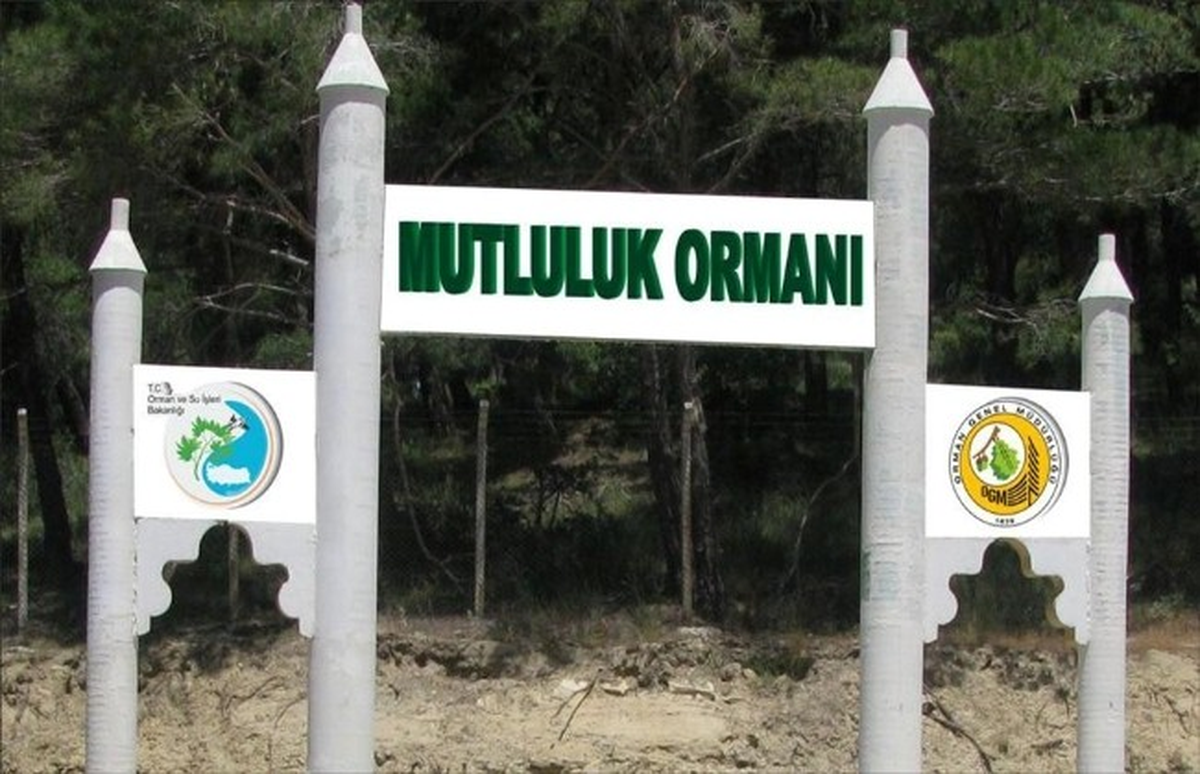 Yeni Evlenen Çiftler İçin Mutluluk Ormanı Kuruldu
