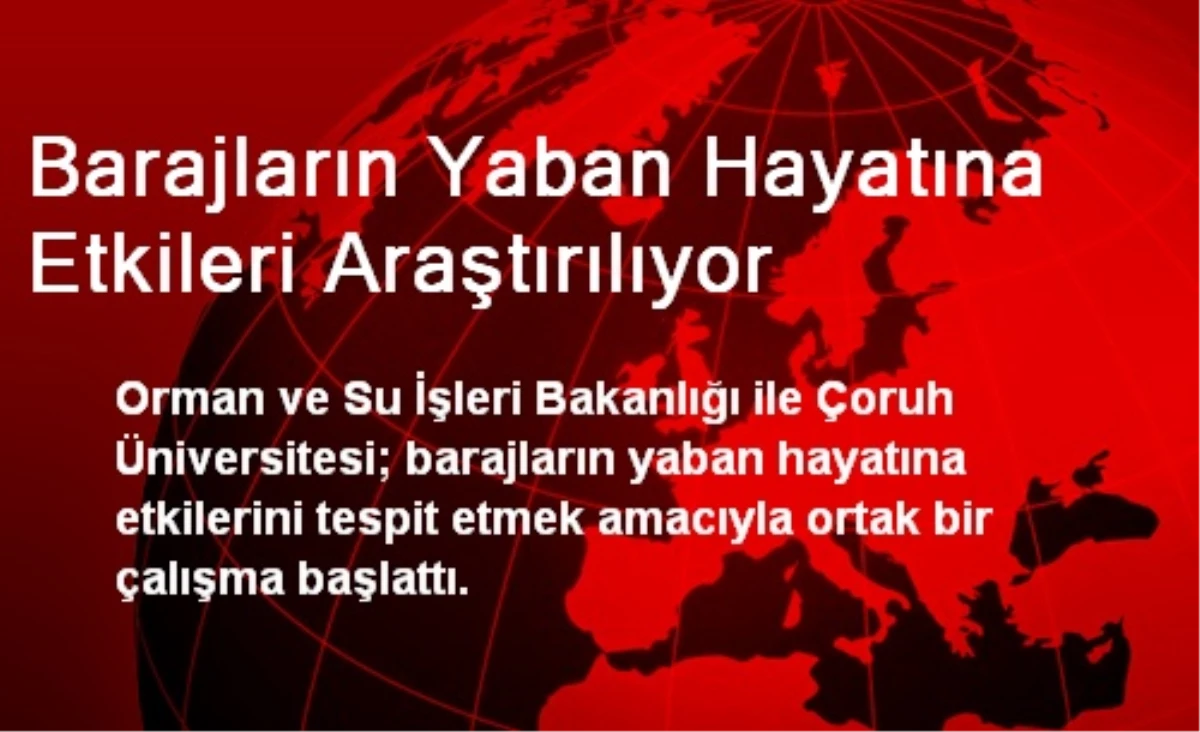 Barajların Yaban Hayatına Etkileri Araştırılıyor