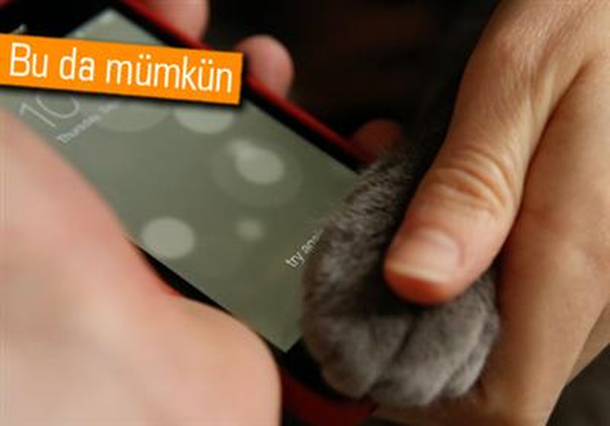 İphone 5s\'in Kilidini Kedi Patisiyle de Açabileceksiniz