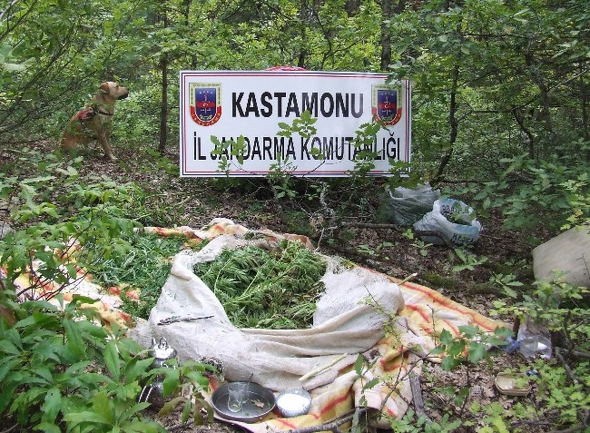 Jandarmadan Uyuşturucu Operasyonu