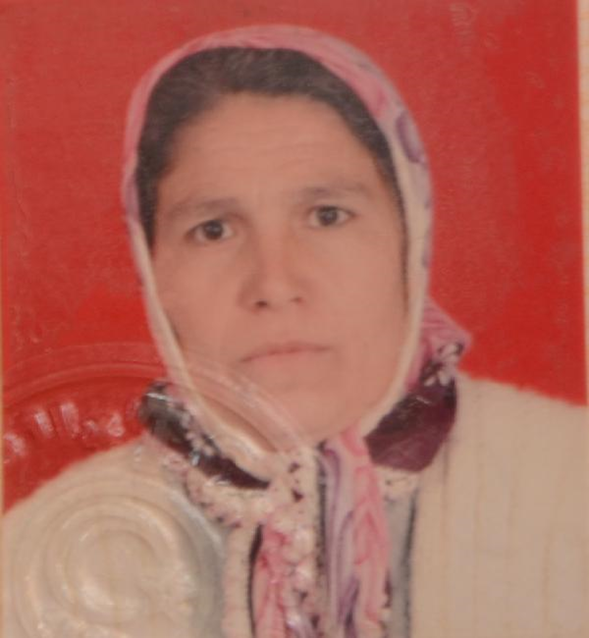 Tartıştığı Eltisinin Başına Baltayla Vurdu