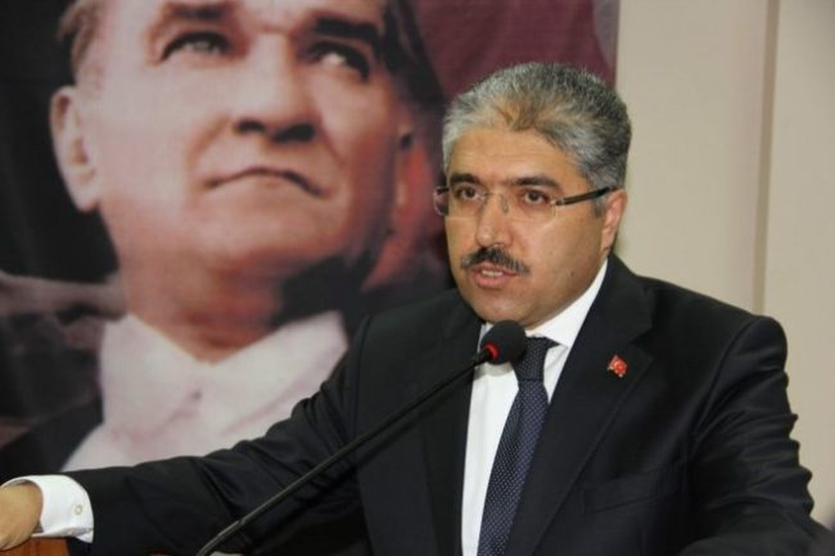 Vali Çınar, İncelemelerde Bulundu