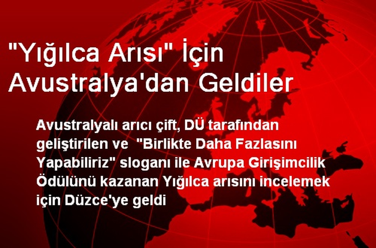 "Yığılca Arısı" İçin Avustralya\'dan Geldiler
