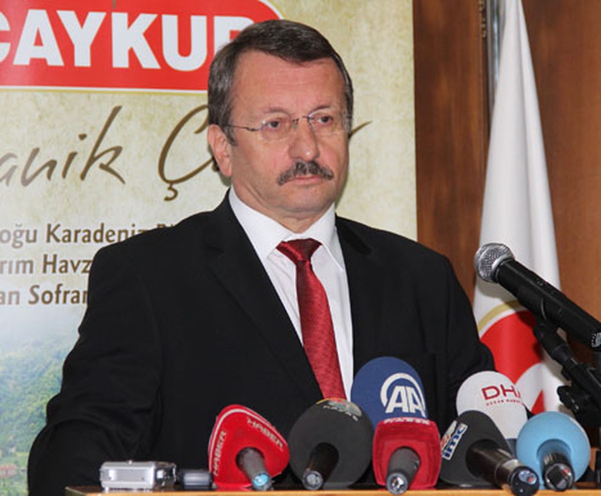 Çaylıkların Yenilenmesi Projesi