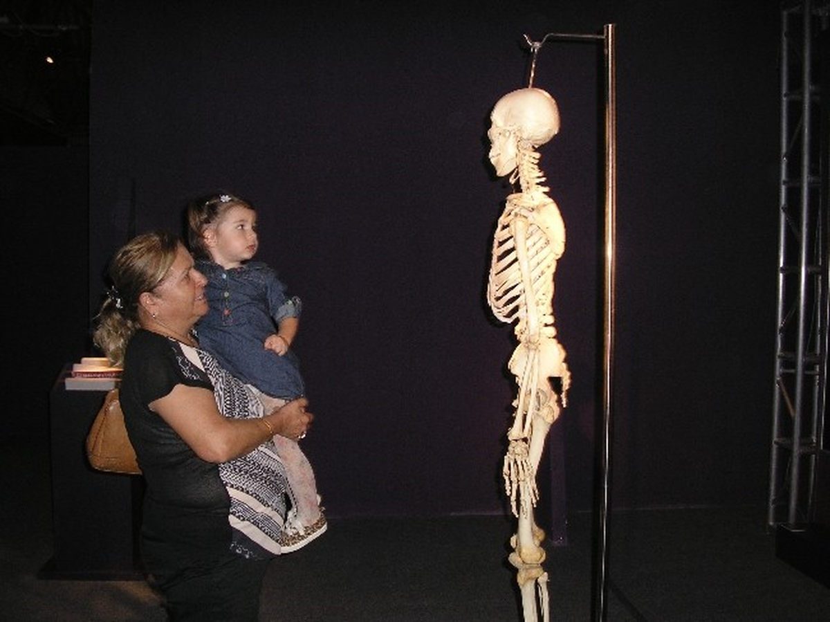 Human Body Exhıbıtıon İzmir\'de Ziyarete Açıldı