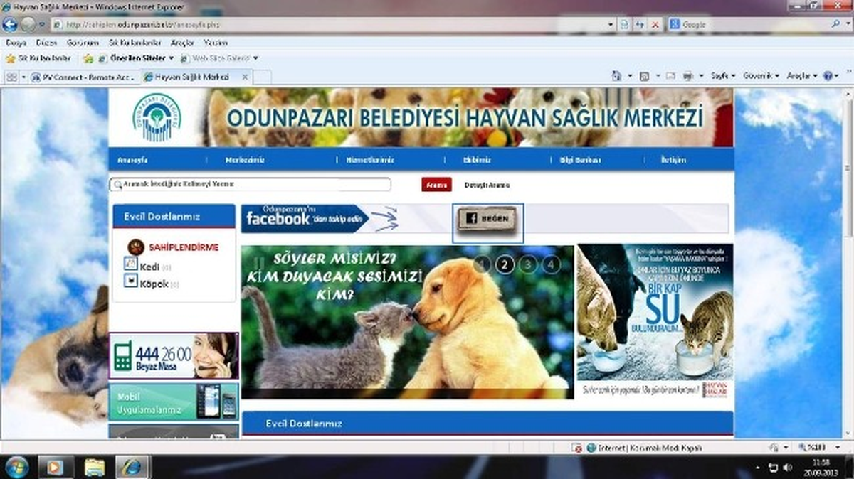 \'İnternetten Hayvan Sahiplen\' Çağrısı