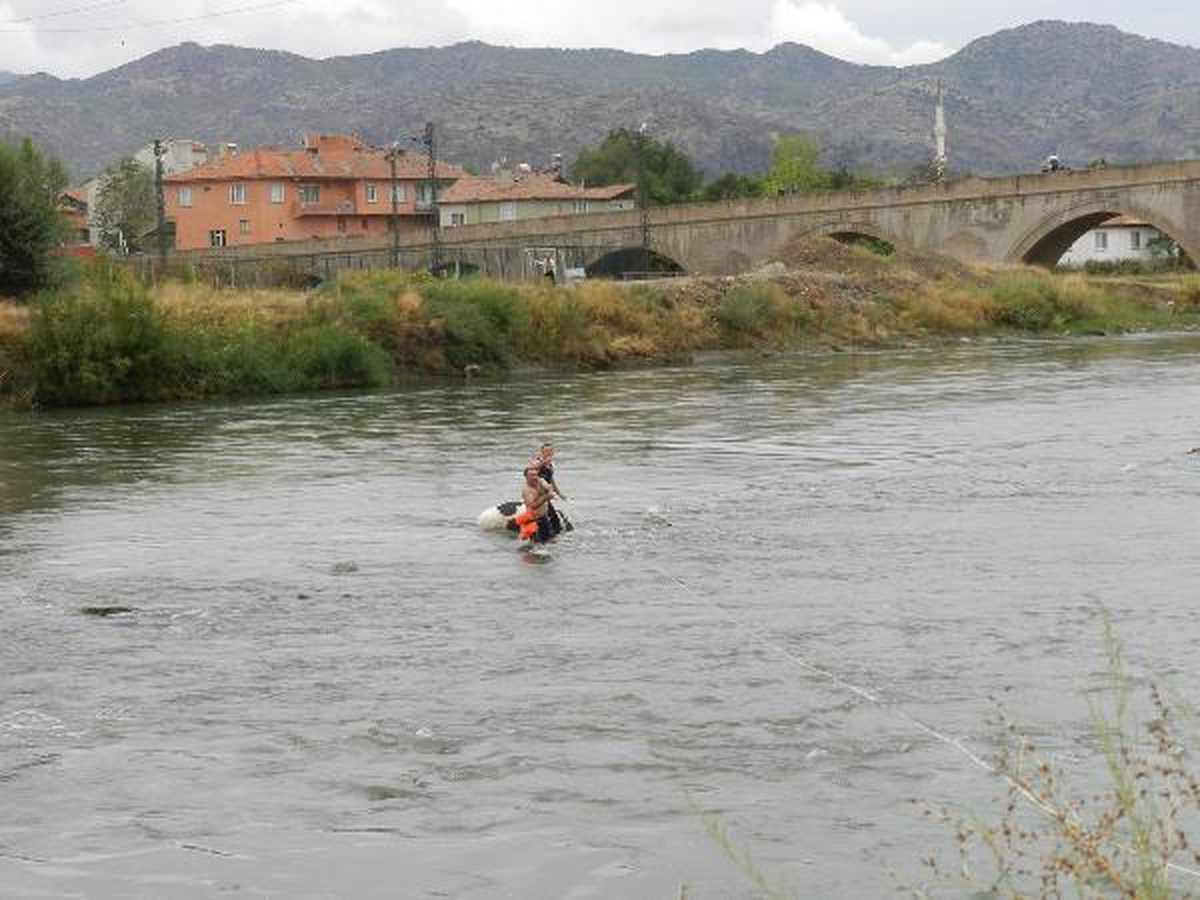 Kızılırmak Nehri\'ne Düşen İnek Telef Oldu