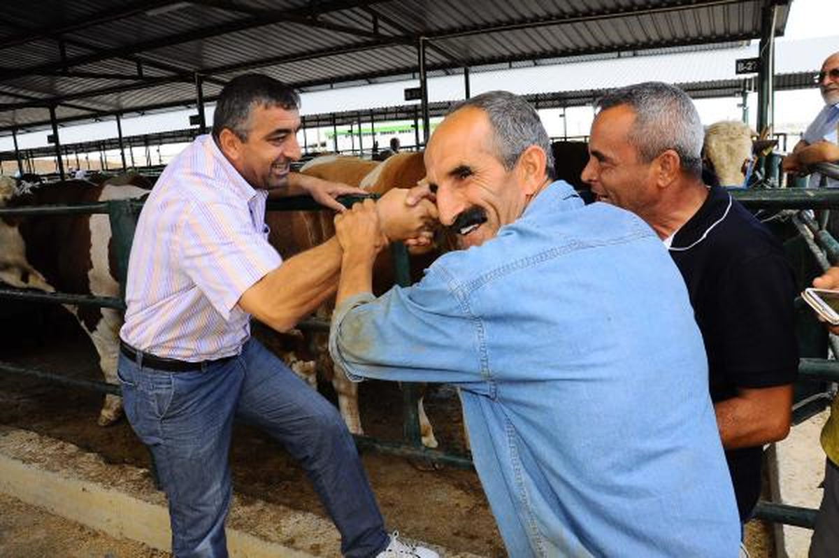 Kurbanlık Fiyatları Arttı