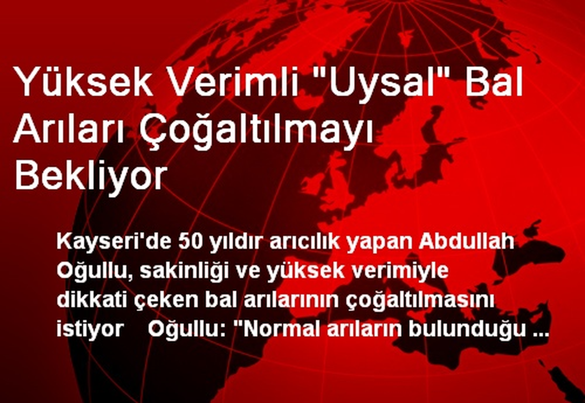 Yüksek Verimli "Uysal" Bal Arıları Çoğaltılmayı Bekliyor