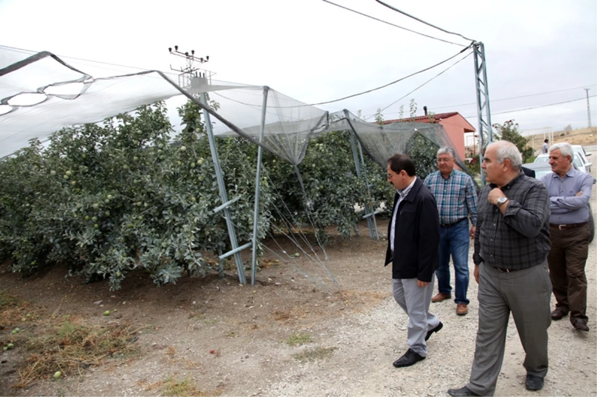 Ovasaray Köyü\'ndeki Örnek Elma Bahçesinde Yılın İlk Hasadı Yapıldı