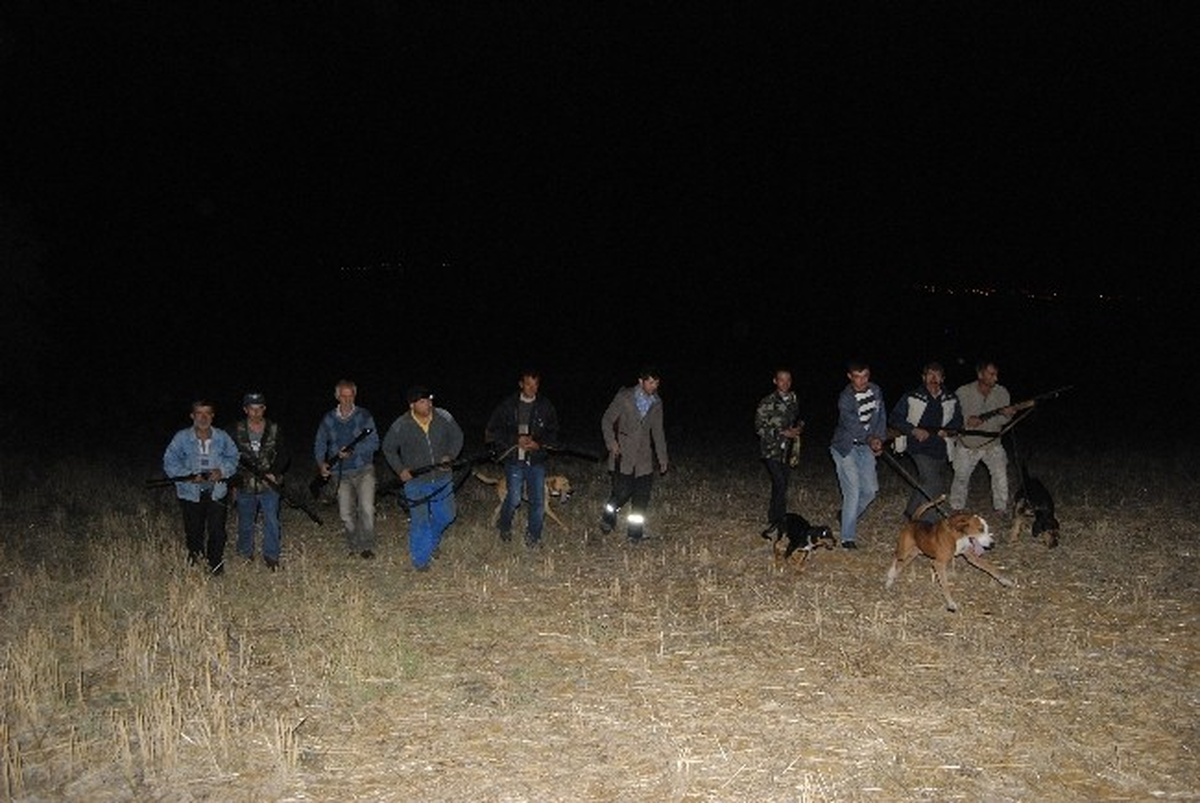 Tekirdağ\'da 2 Köyü Aç Domuzlar ve Kurtlar Bastı