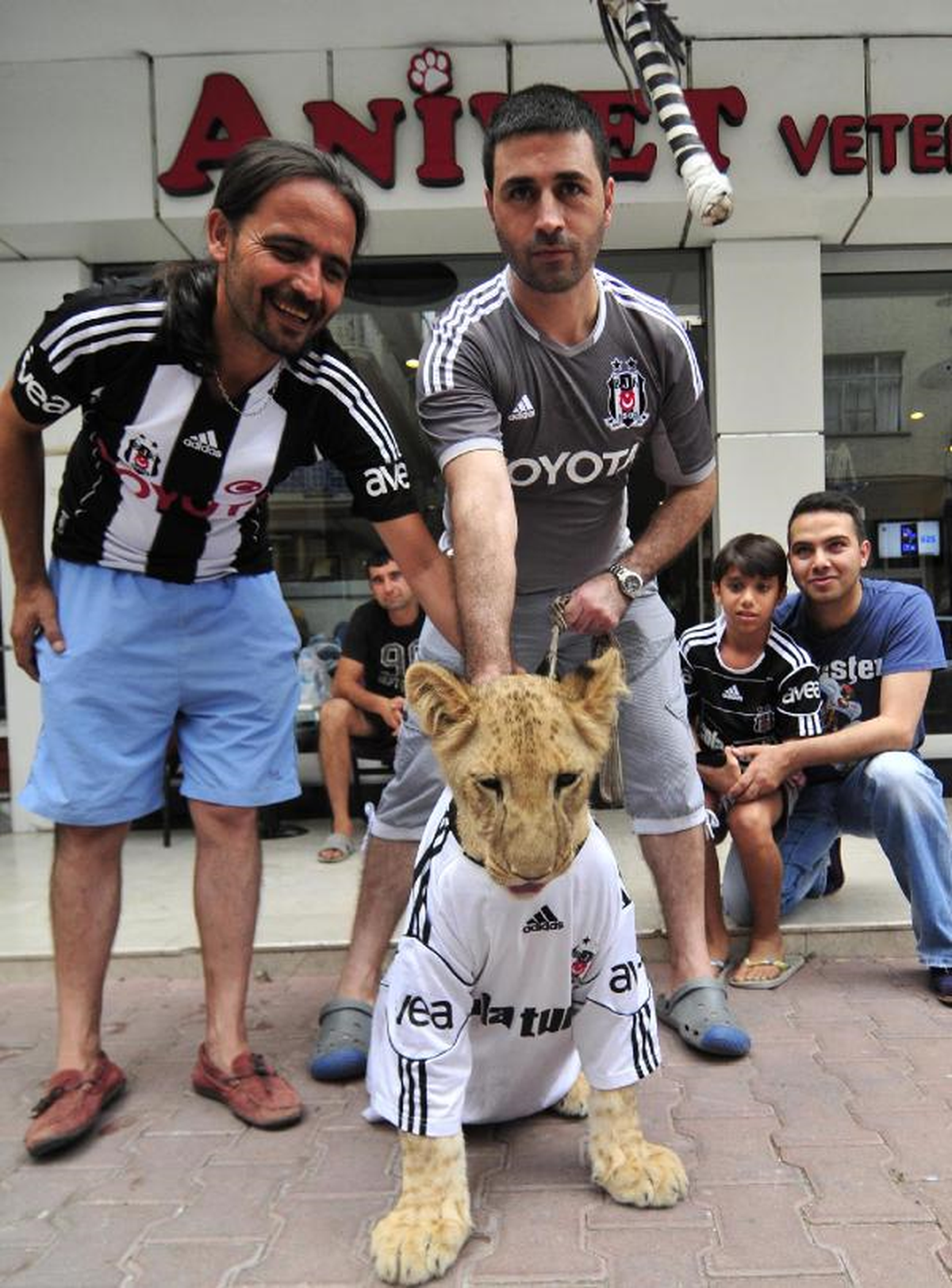 Yavru Aslan\'a Beşiktaş Forması Giydirdiler