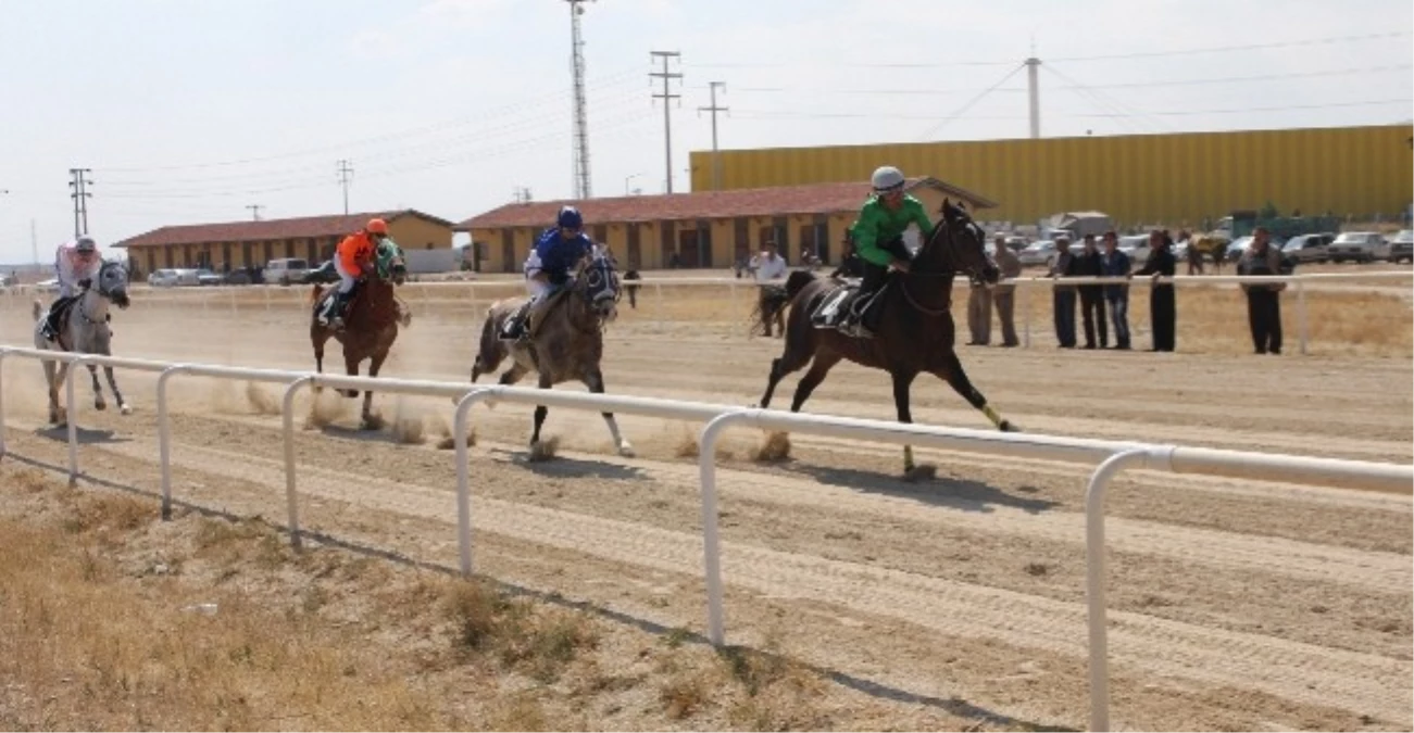 Konya\'da 21. Geleneksel Mahalli At Yarışları Başladı