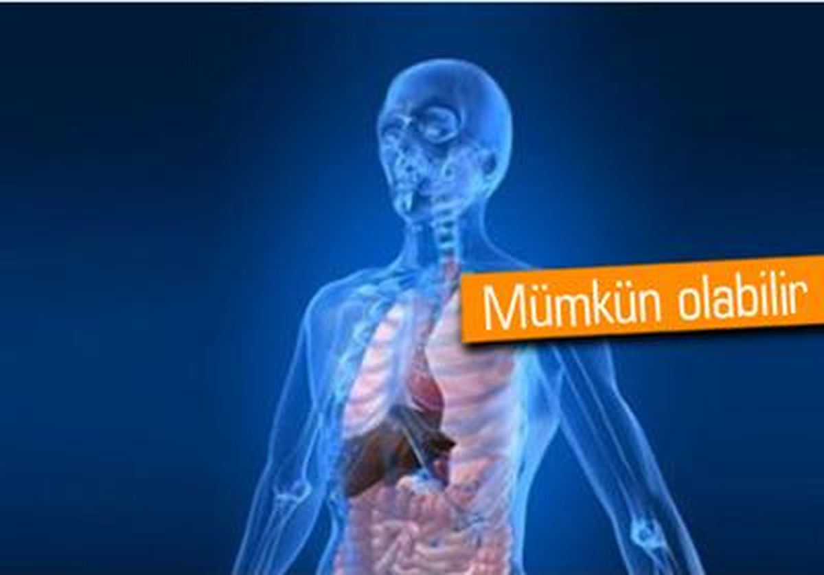 Organlar Kendini Yenileyebilecek