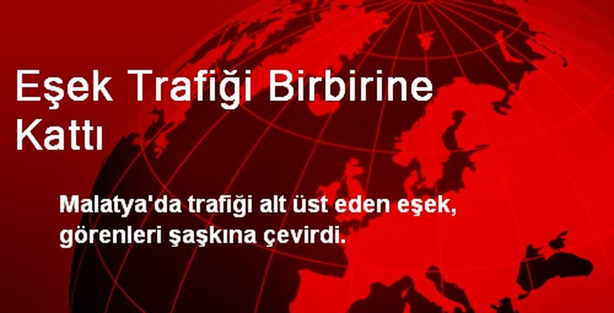 Eşek Trafiği Birbirine Kattı