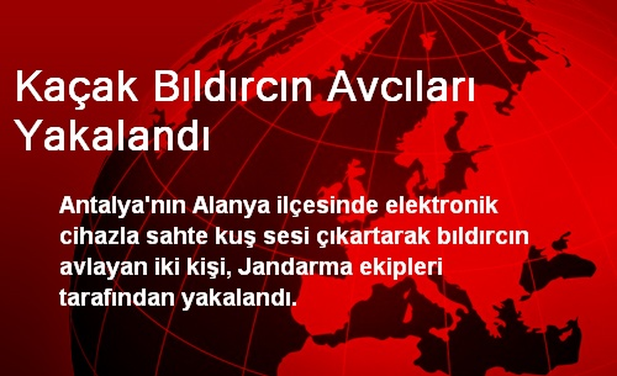Kaçak Bıldırcın Avcıları Yakalandı