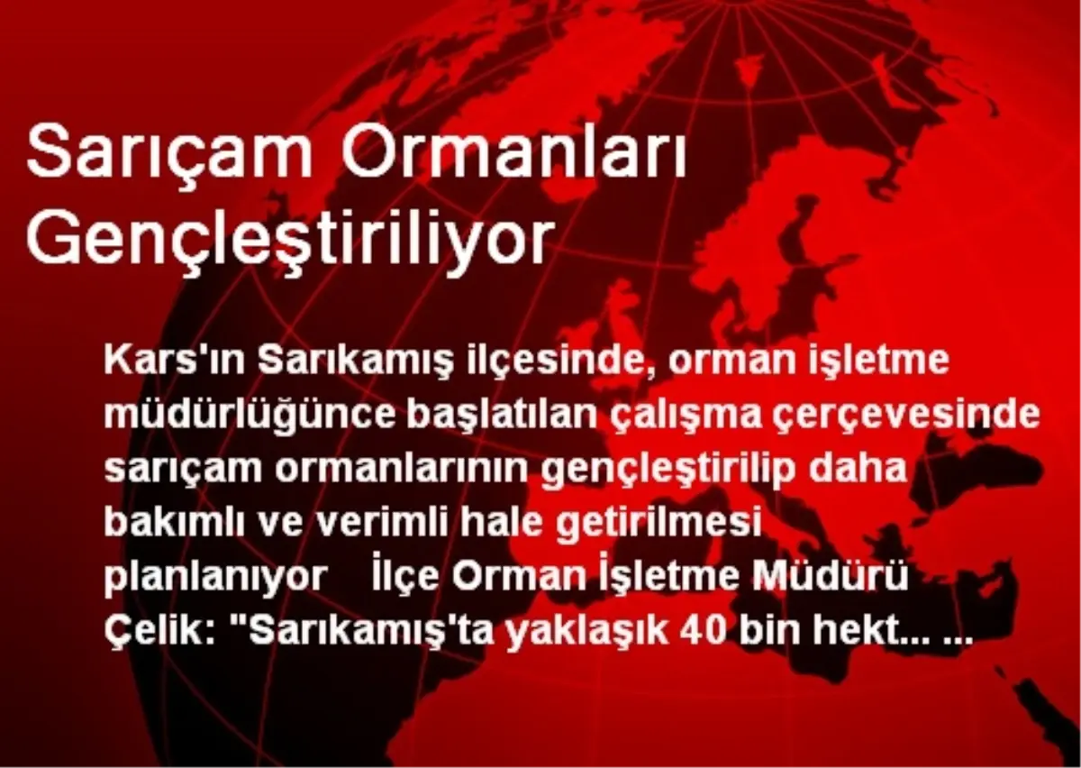 Sarıçam Ormanları Gençleştiriliyor