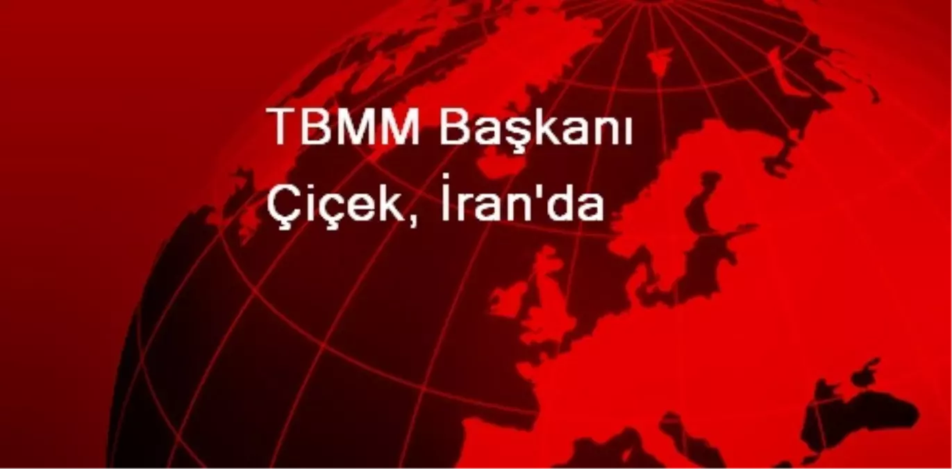TBMM Başkanı Çiçek, İran'da