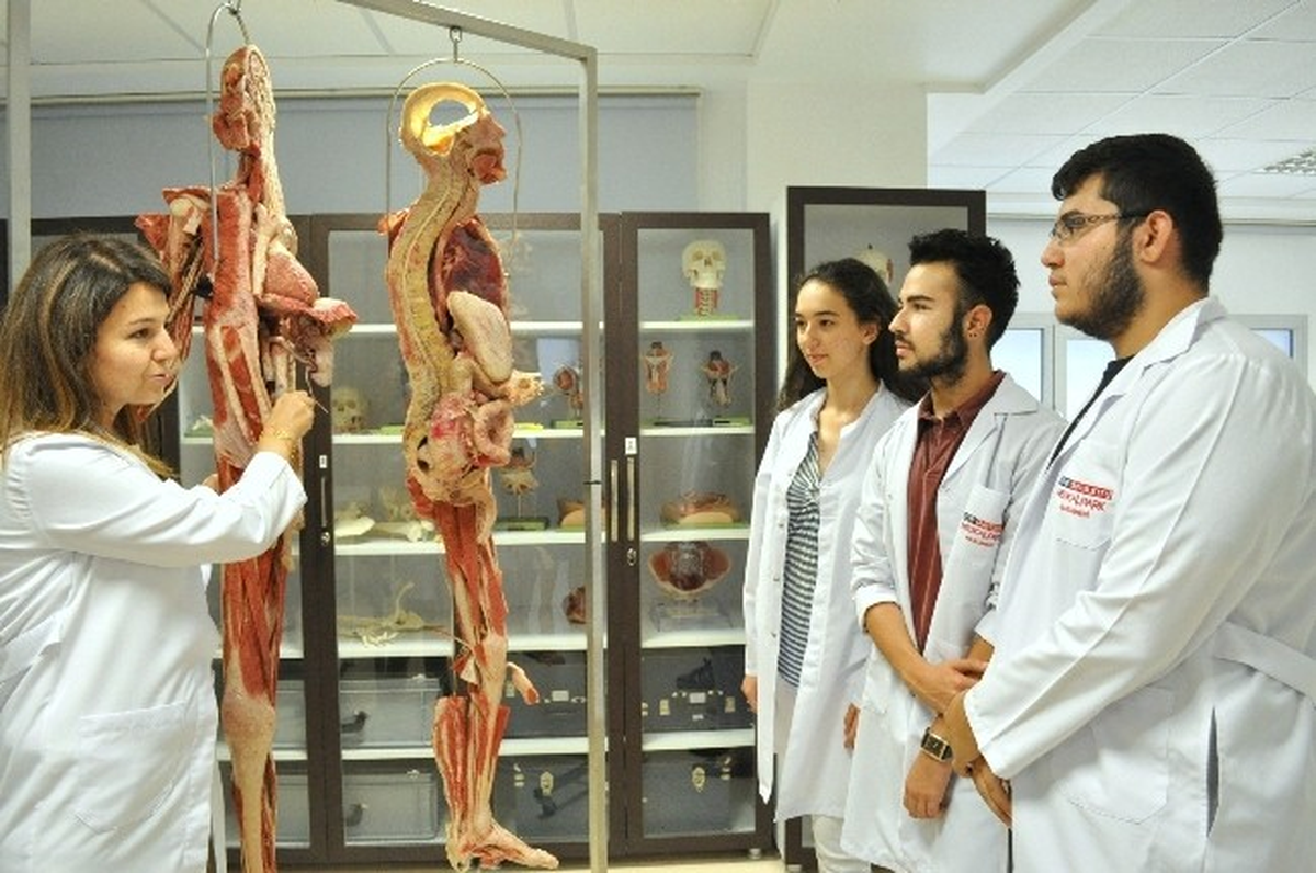 İzmir Üniversitesi Öğrencileri \'Plastine Kadavra\'yla Tanıştı