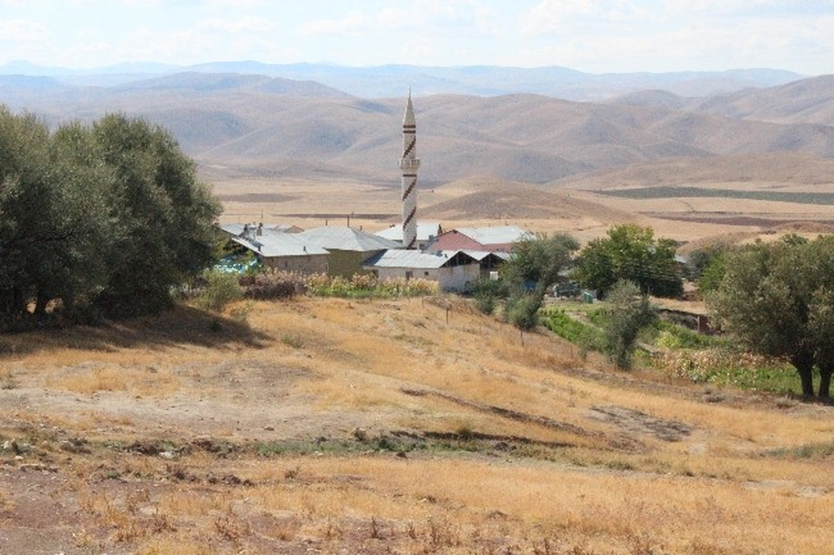 Köylülerin Yol Tepkisi