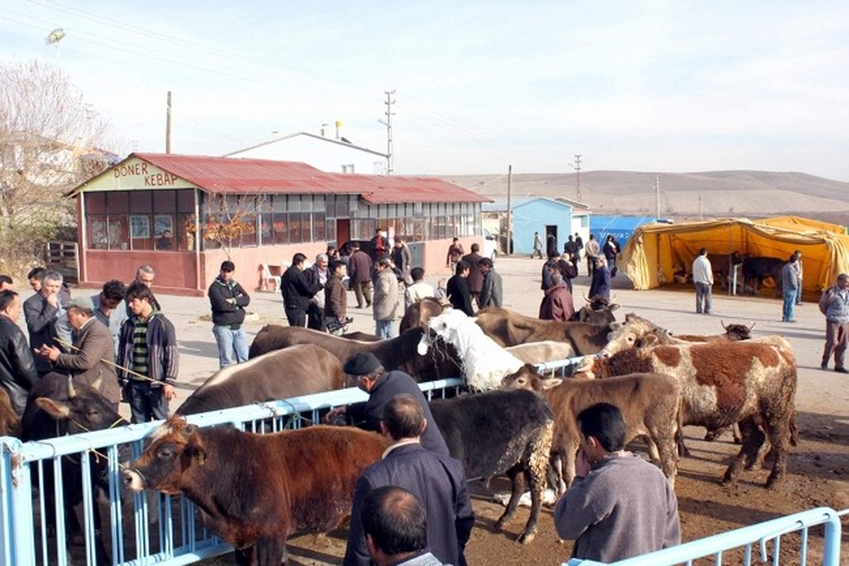 Kurban Pazarı Yeri İçin Müracaatlar Başladı