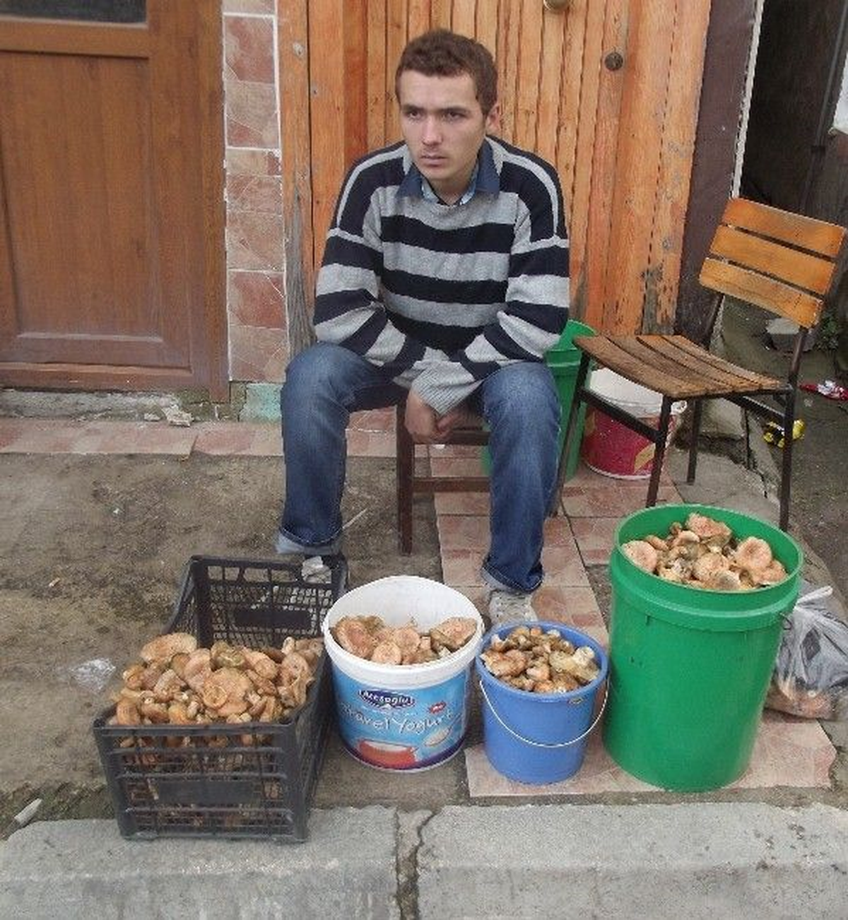 Mantar, 5 İla 15 Lira Arasında Alıcı Buldu