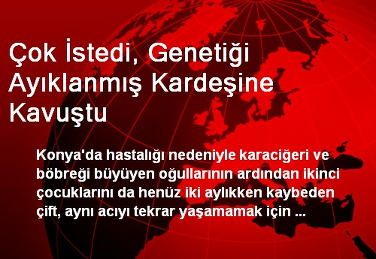 Çok İstedi, Genetiği Ayıklanmış Kardeşine Kavuştu
