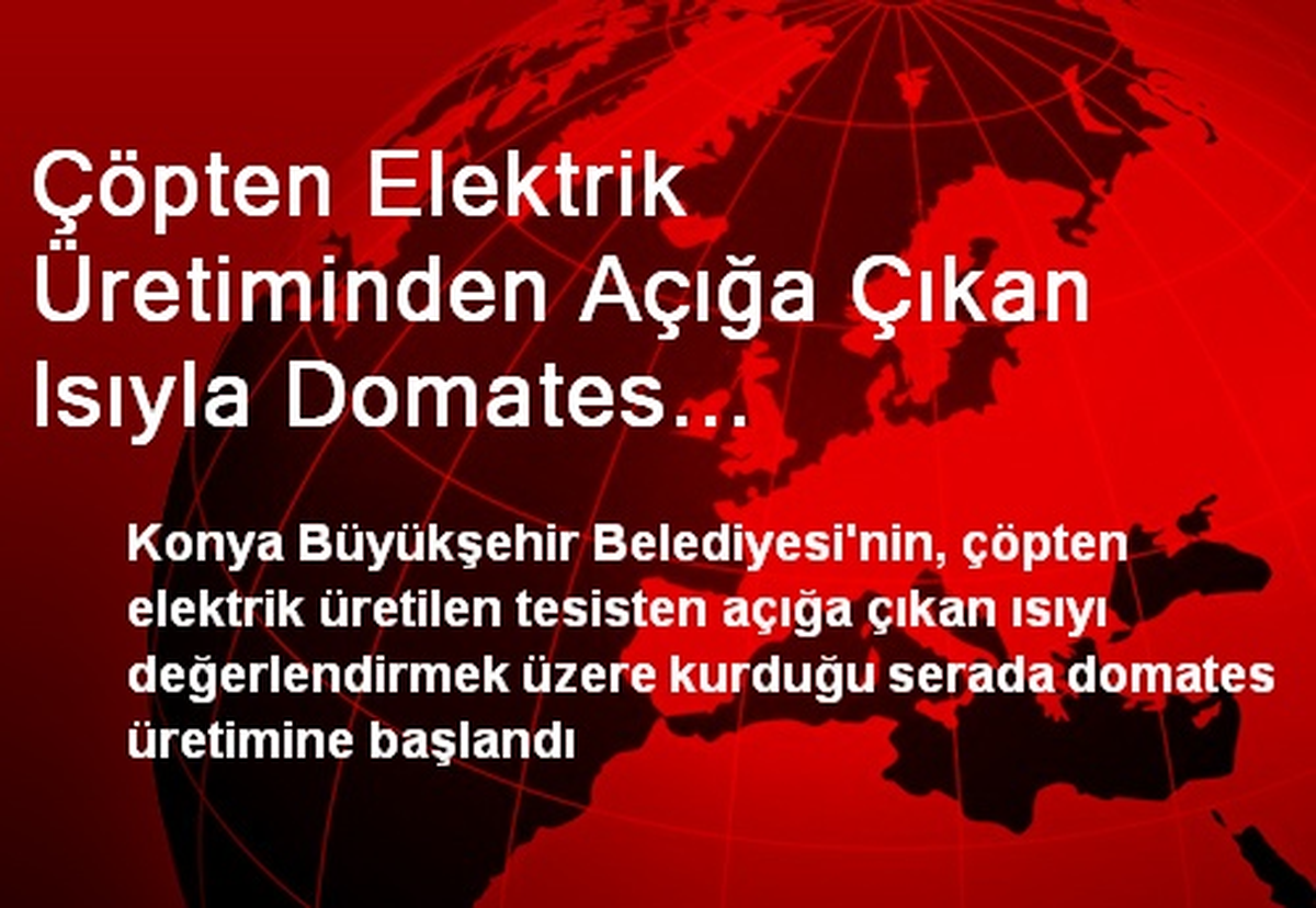 Çöpten Elektrik Üretiminden Açığa Çıkan Isıyla Domates Yetiştiriliyor