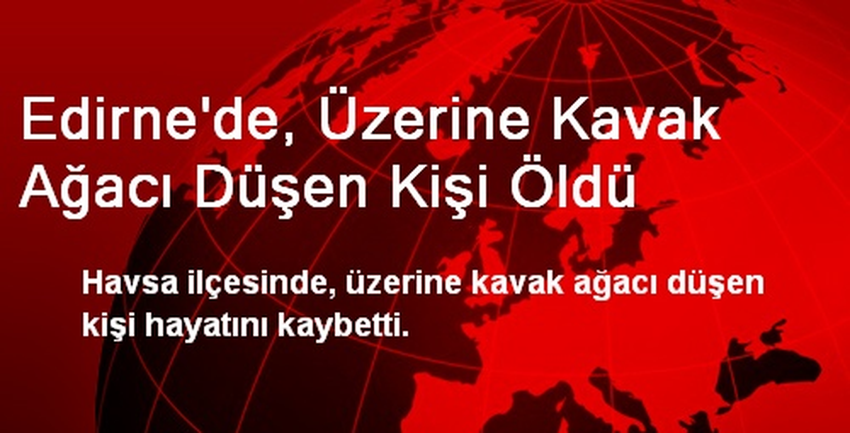 Edirne\'de, Üzerine Kavak Ağacı Düşen Kişi Öldü