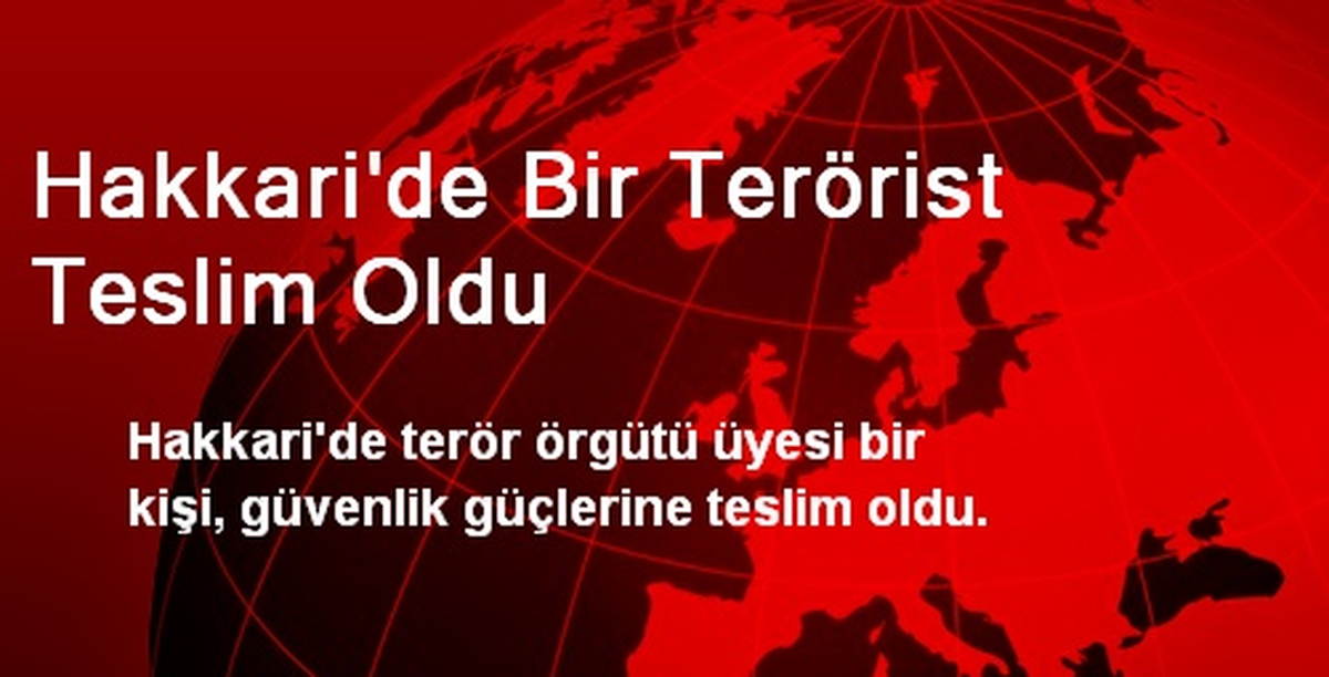 Hakkari\'de Bir Terörist Teslim Oldu