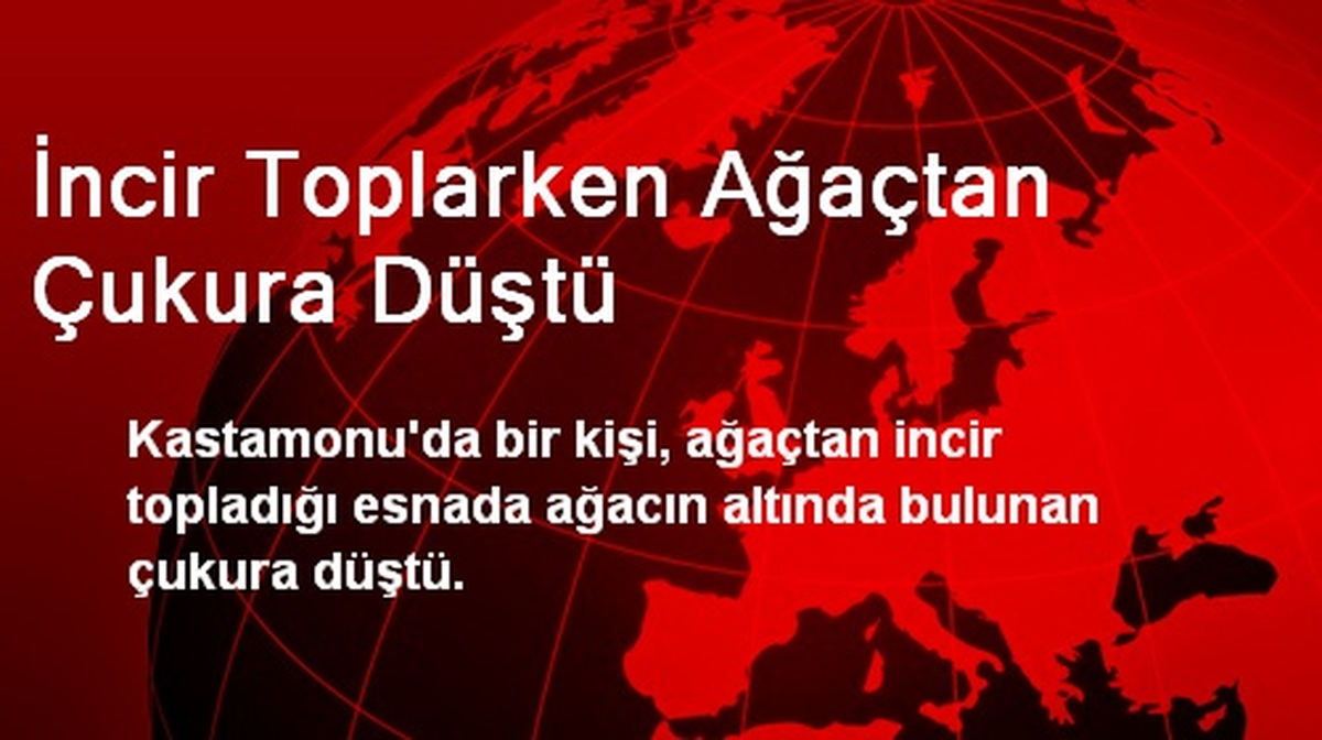 İncir Toplarken Ağaçtan Çukura Düştü