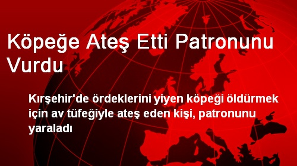 Köpeğe Ateş Ederken Patronunu Vurdu