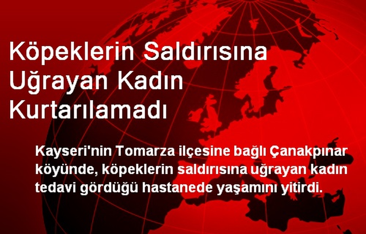 Köpeklerin Saldırısına Uğrayan Kadın Kurtarılamadı