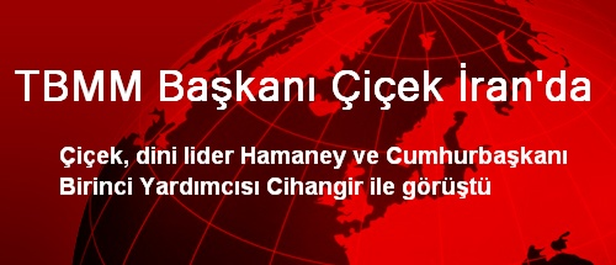 TBMM Başkanı Çiçek İran\'da
